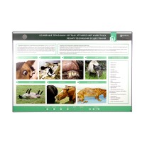Электрифицированный стенд «Основные признаки острых отравлений животных лекарственными веществами»